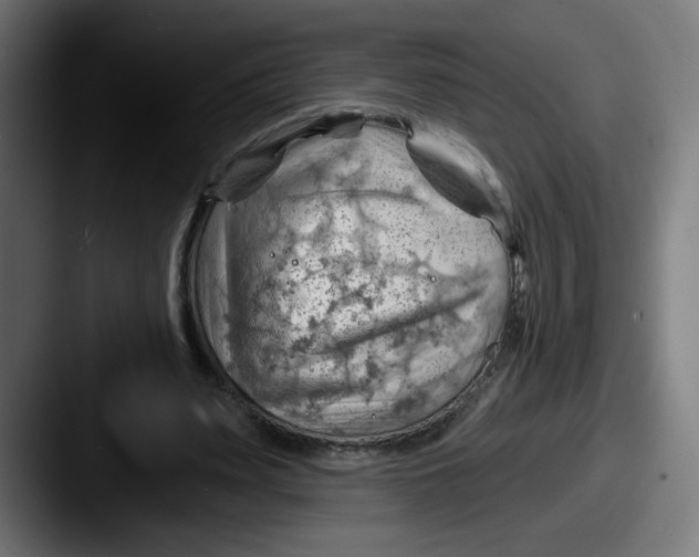 X0000087550487200705181109