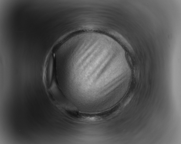 X0000087550488200705181109