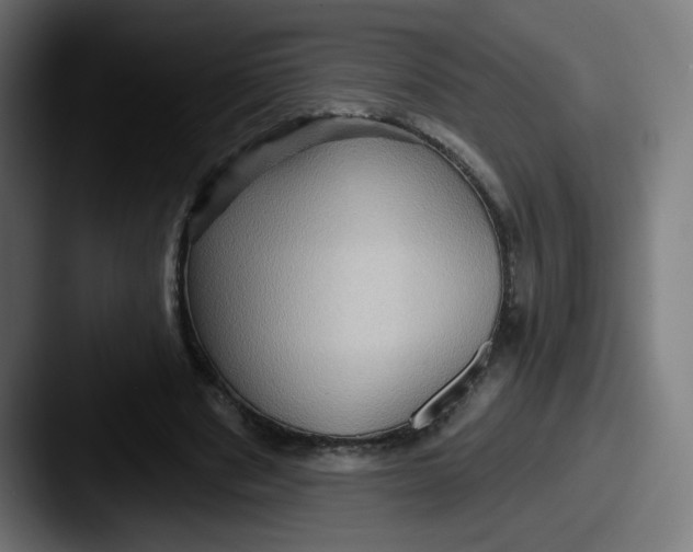 X0000087550489200705181109