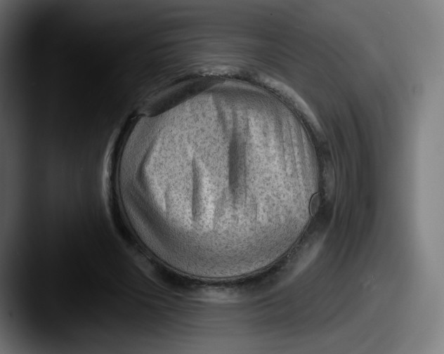 X0000087550490200705181109