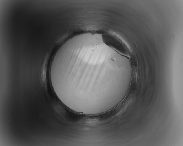 X0000087550491200705181109