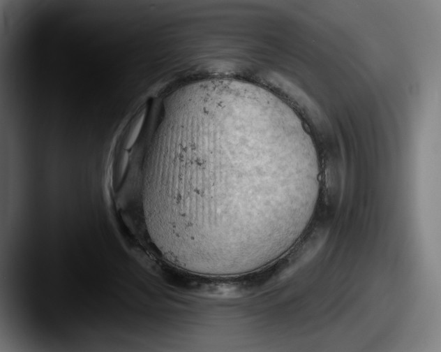 X0000087550492200705181109