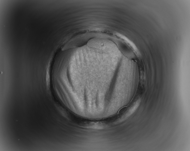 X0000087550493200705181109