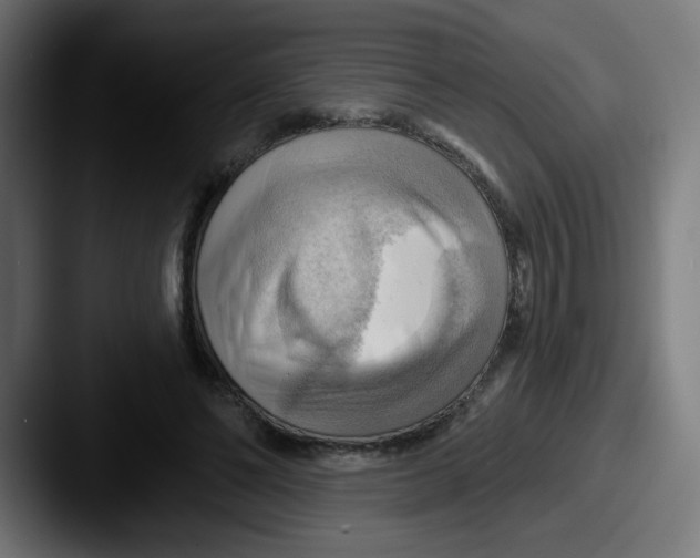 X0000087550494200705181109