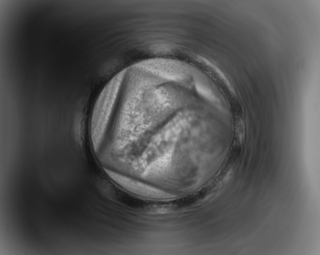 X0000087550495200705181109