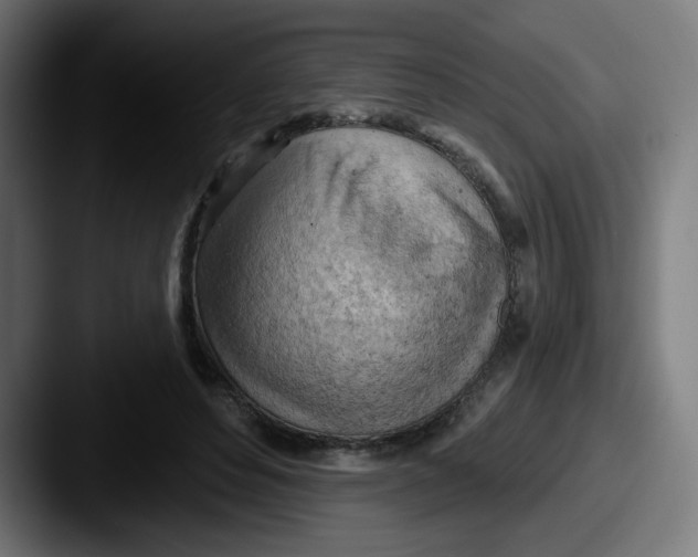 X0000087550496200705181109