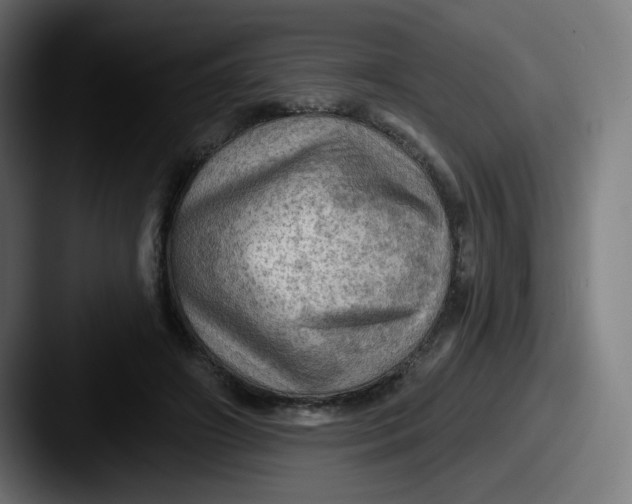 X0000087550498200705181109