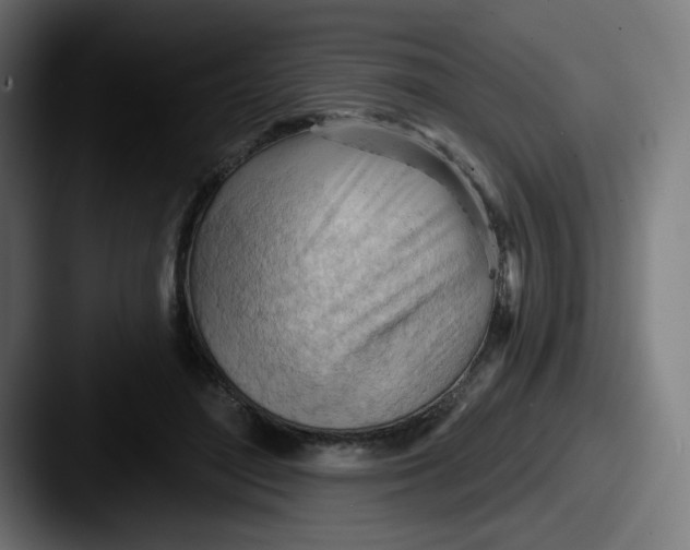 X0000087550500200705181109