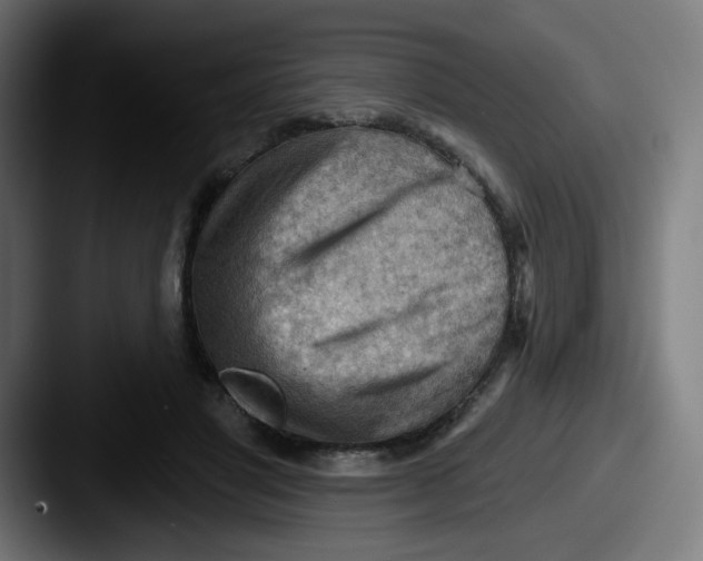 X0000087550501200705181109