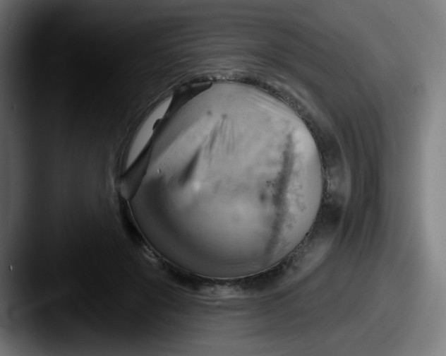 X0000087550503200705181109