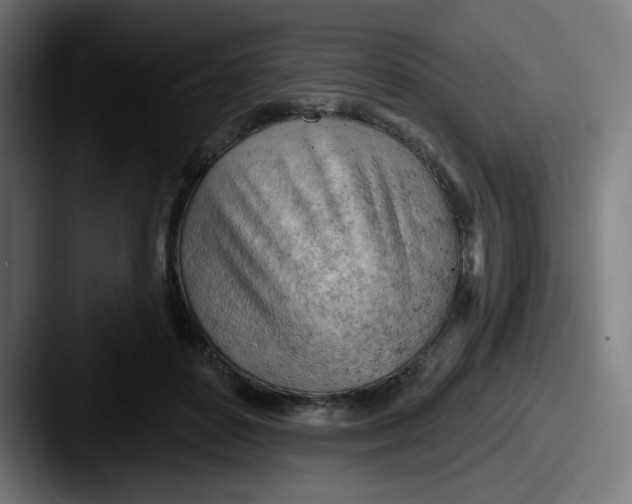 X0000087550504200705181109