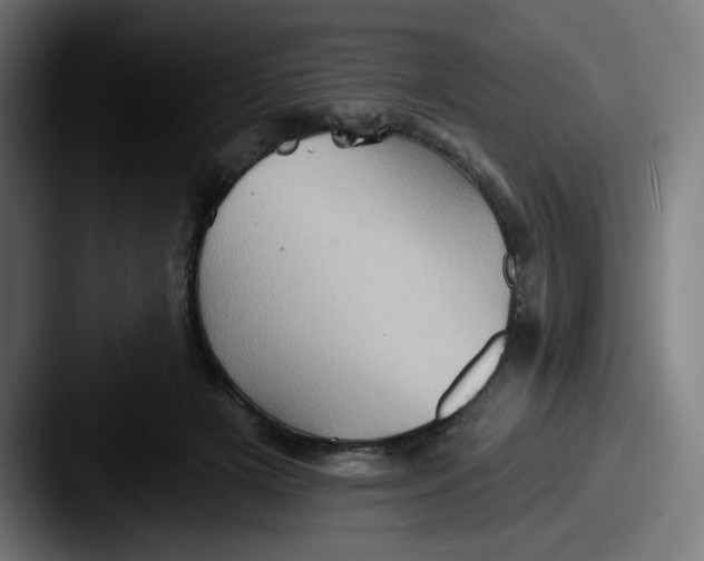 X0000087550505200705181109