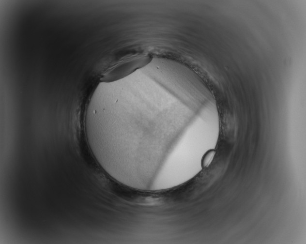 X0000087550506200705181109