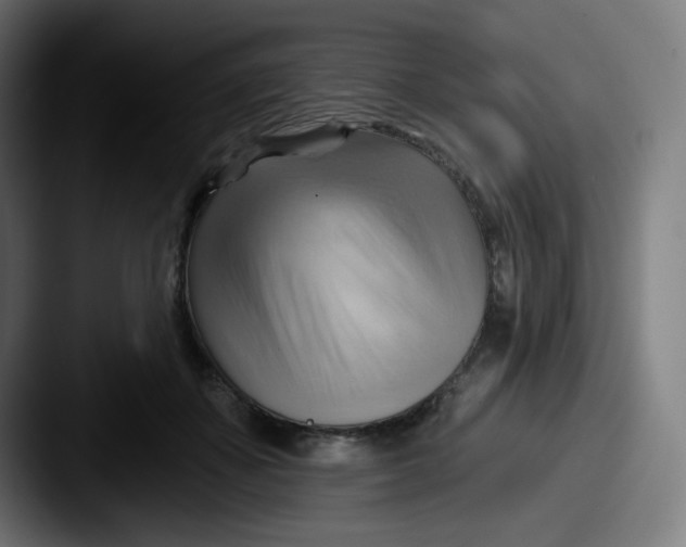 X0000087550507200705181109