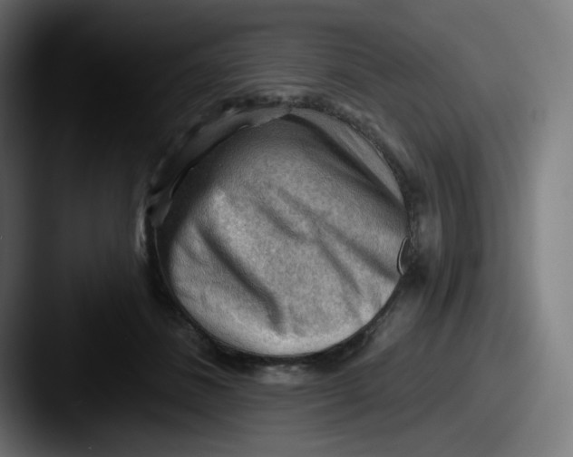 X0000087550508200705181109