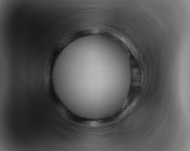 X0000087550509200705181109