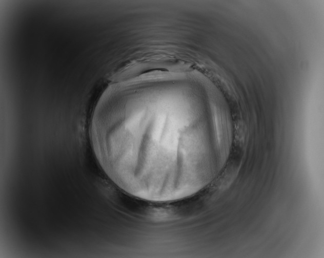 X0000087550510200705181109