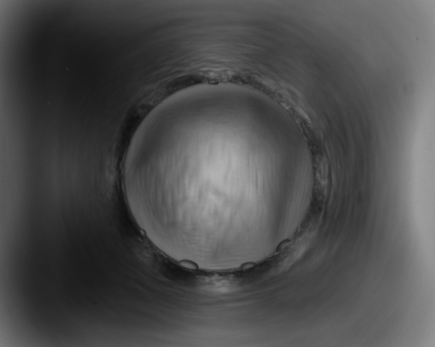 X0000087550511200705181109