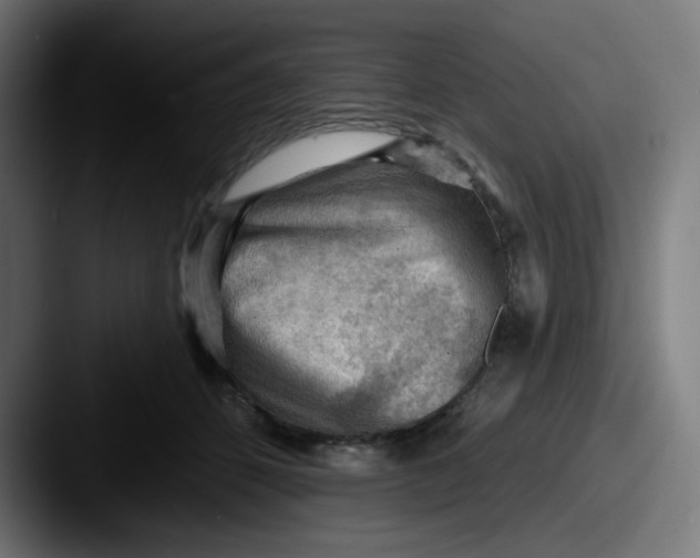 X0000087550512200705181109