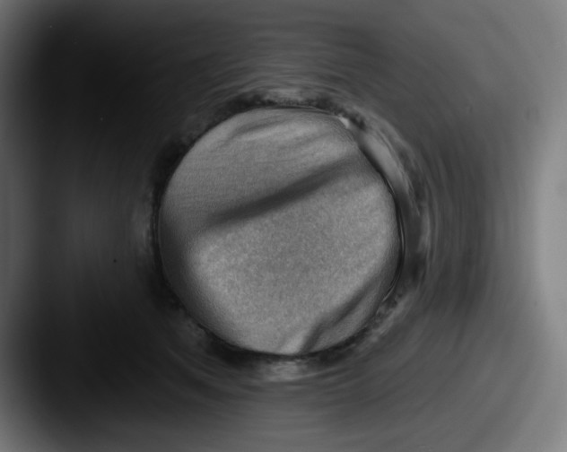 X0000087550513200705181109