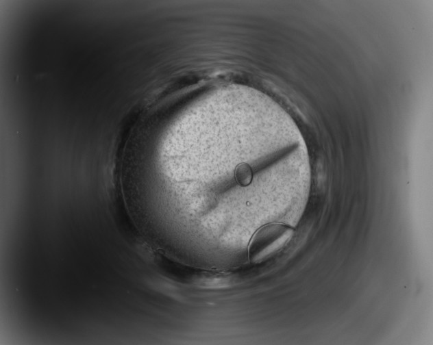 X0000087550514200705181109