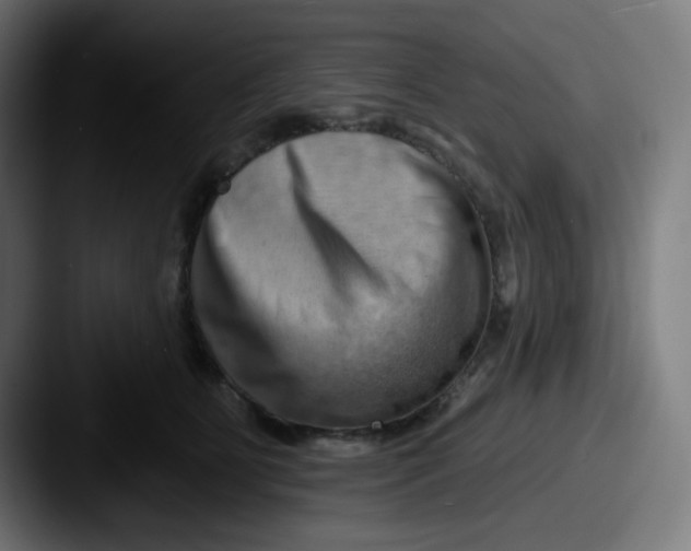 X0000087550515200705181109