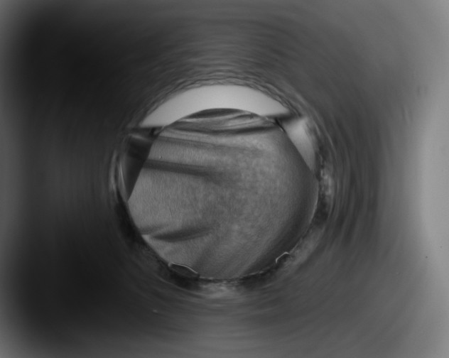 X0000087550516200705181109