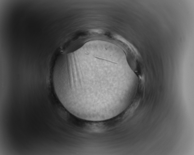 X0000087550517200705181109