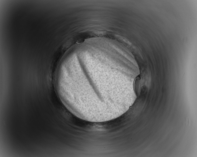 X0000087550518200705181109