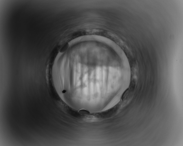 X0000087550519200705181109