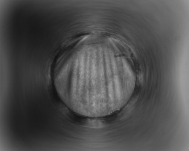 X0000087550520200705181109