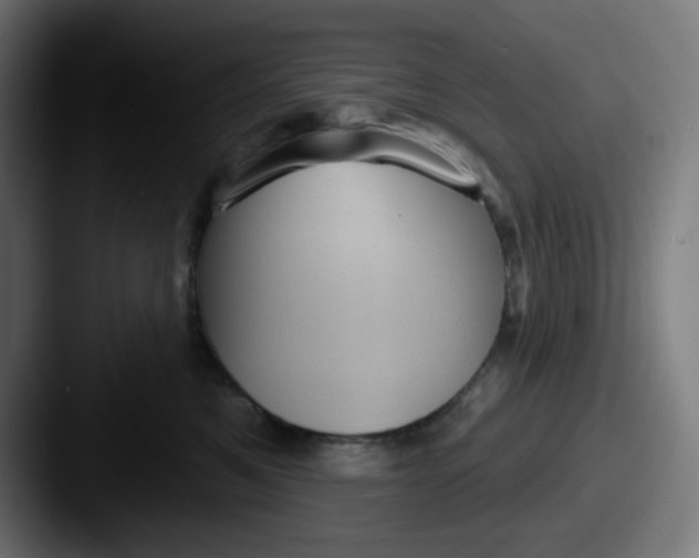 X0000087550521200705181109