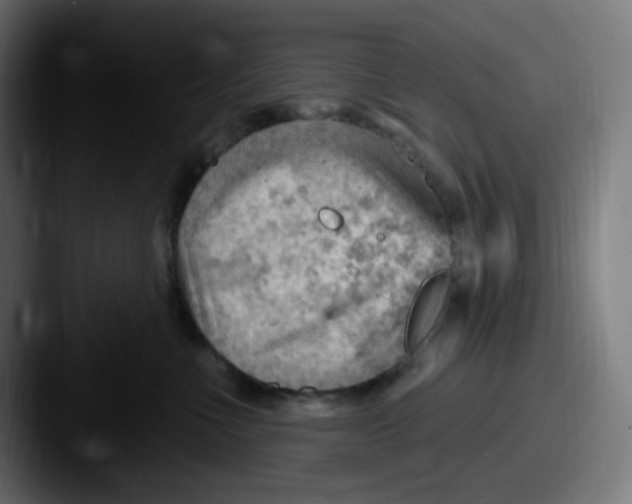 X0000087550523200705181109