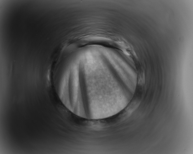 X0000087550524200705181109