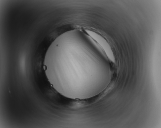 X0000087550525200705181109