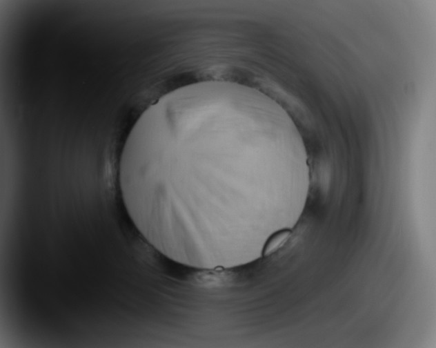 X0000087550526200705181109