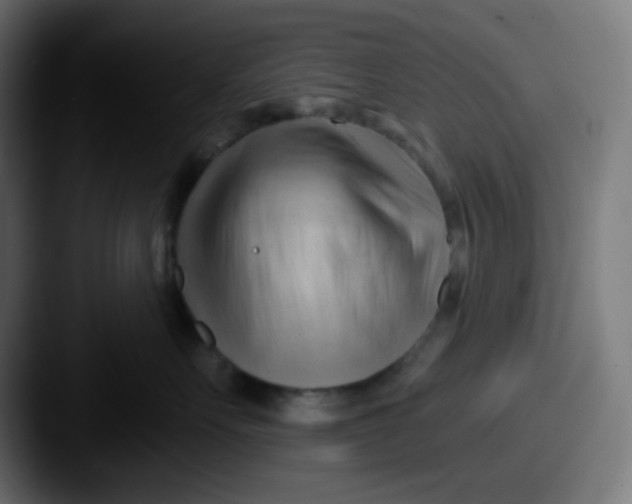 X0000087550527200705181109