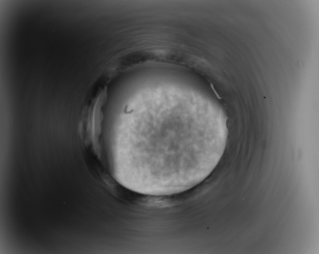 X0000087550528200705181109