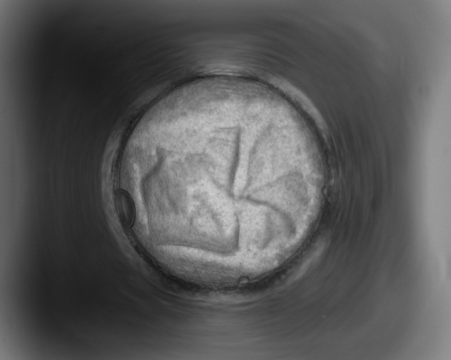 X0000087550529200705181108