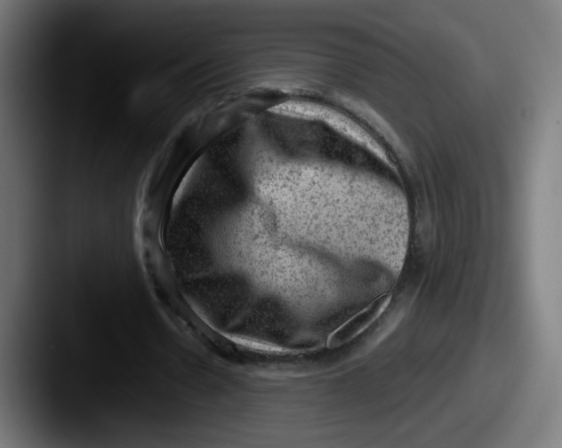 X0000087550530200705181108