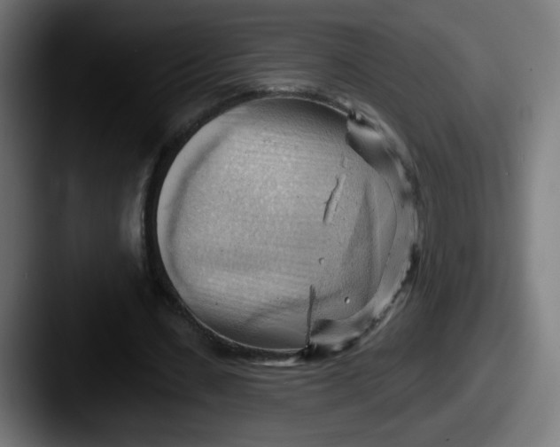 X0000087550531200705181108