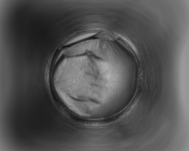 X0000087550533200705181108