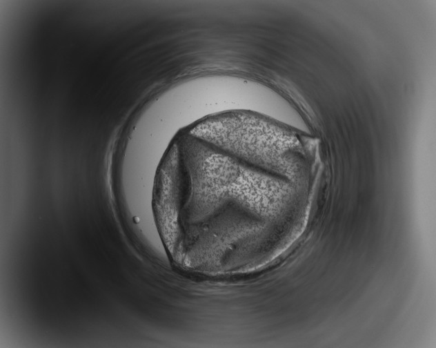 X0000087550534200705181108