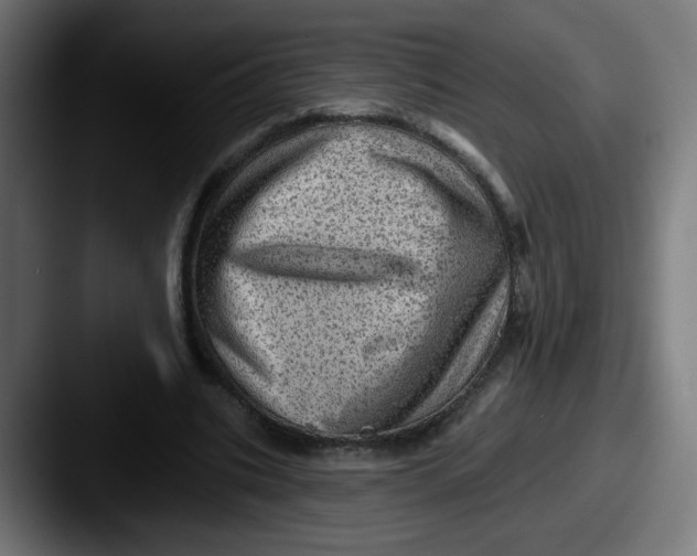 X0000087550535200705181108