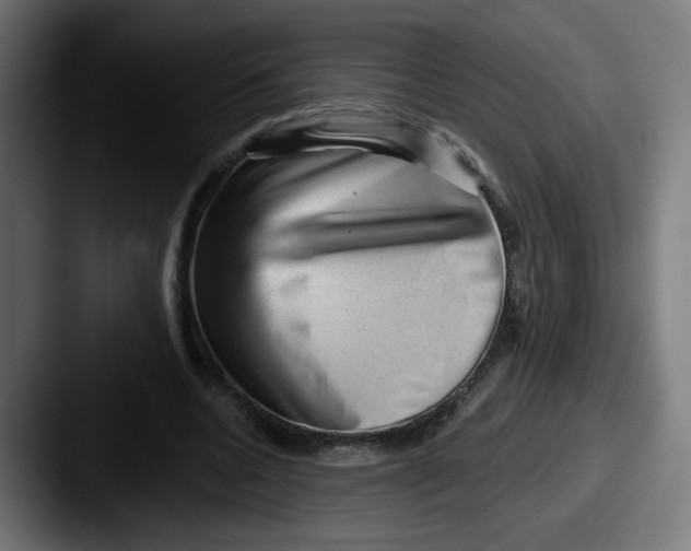 X0000087550536200705181108