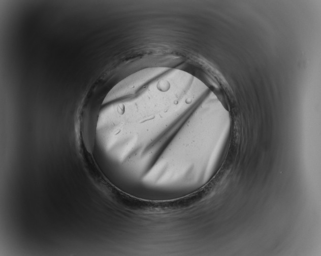 X0000087550538200705181108