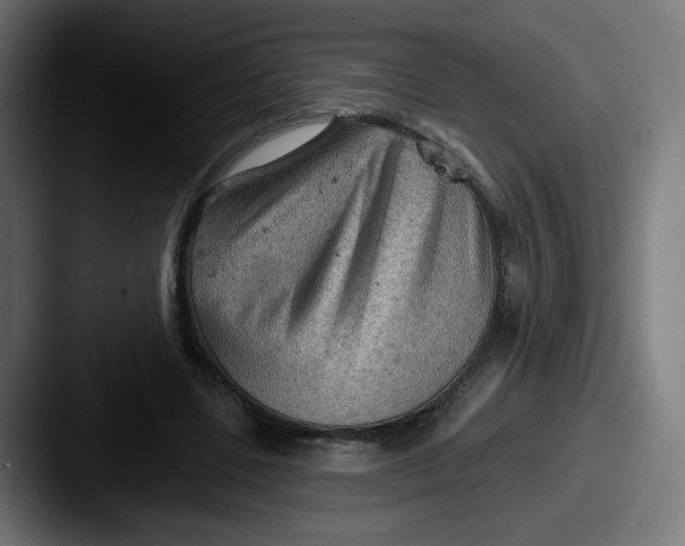 X0000087550539200705181108