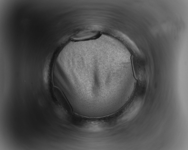 X0000087550540200705181108