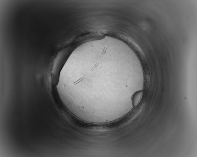 X0000087550541200705181108