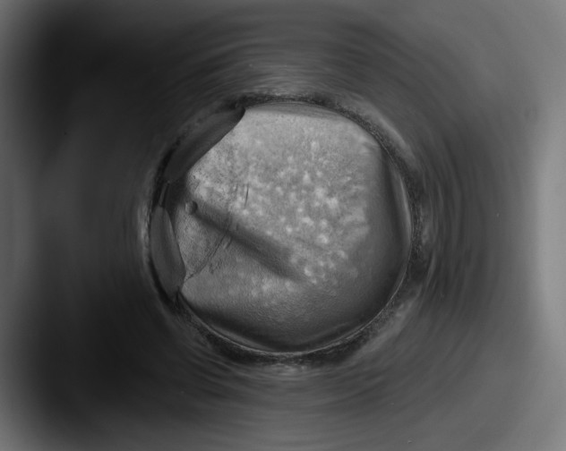 X0000087550542200705181108